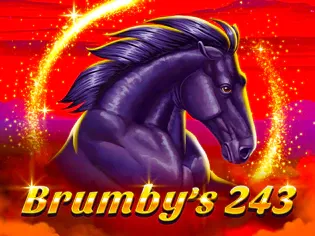 Brumby's 243